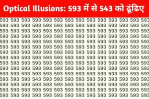 Optical Illusion Games: दम है तो 10 सेकंड में इस सवाल का उत्तर बताए