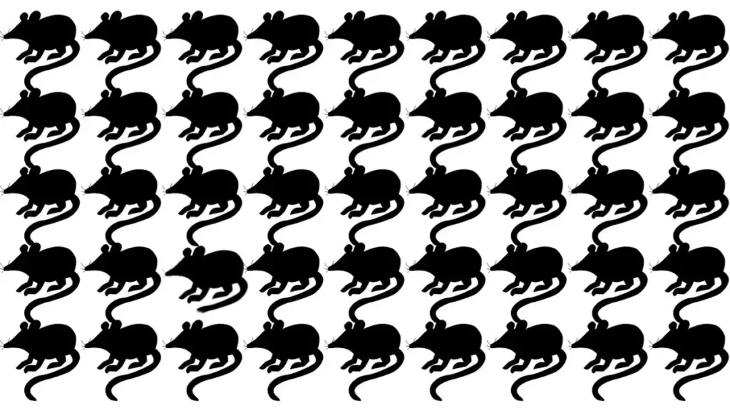 Optical Illusion: नजर तेज है ? तस्वीर में एक अलग चूहा ढूंढ कर दिखाइए तो मान जाएंगे, अच्छे-अच्छे नहीं खोज पाए हैं