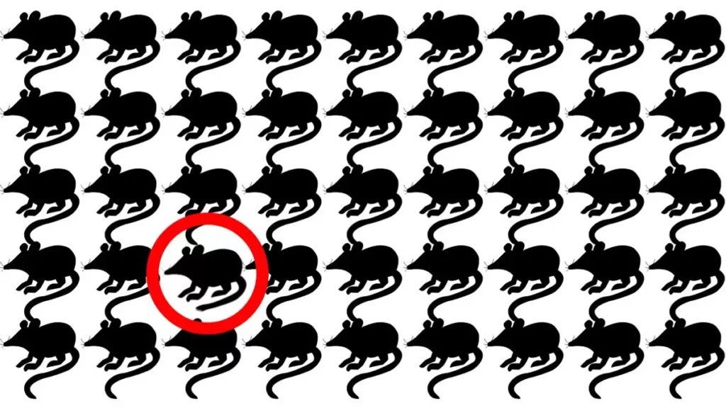 Optical Illusion: नजर तेज है ? तस्वीर में एक अलग चूहा ढूंढ कर दिखाइए तो मान जाएंगे, अच्छे-अच्छे नहीं खोज पाए हैं