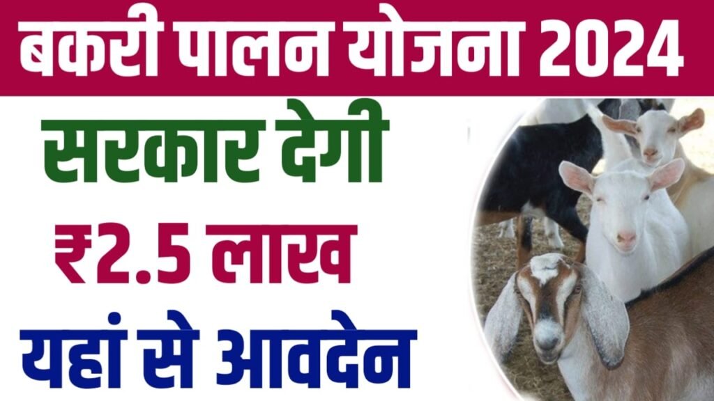 Bakri Palan Yojana 2024: बकरी पालन करने के लिए सरकार दे रही है 2.45 लाख रुपए का लाभ, यहाँ से करें जल्द आवेदन